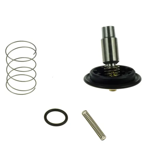 ZESTAW NAPRAWCZY ELEKTROZAWORU BÜRKERT 6213 0-10BAR FKM